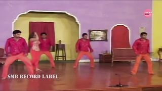 NARGIS STAGE PERFORMANCE JITHON MARZI JAWANI NU CHER VE NASEEBO LAL PUNJABI SONG