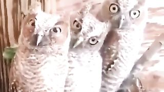 Родители и дети на удаленном обучении.m