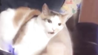 Неожиданно.mp