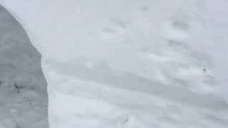 Cat Goes Through Snow Tunnel
