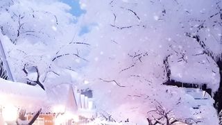 WINTER SEASON