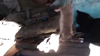 Ukraine Russia War | Ukrainian Soldier and His Pet | RCF
