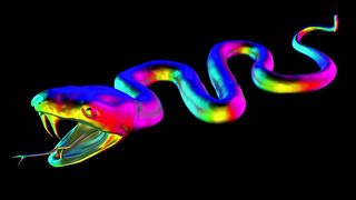 Colour full snake