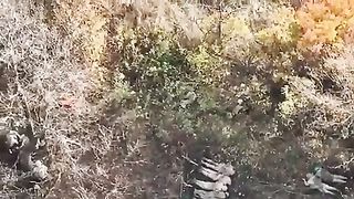 Ukraine Russia War | 30th Brigade Captures Russian POWs | RCF