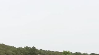 Hard Cricket tournament | Hard Ball Cricket Match