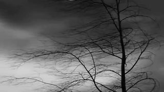 Music 266