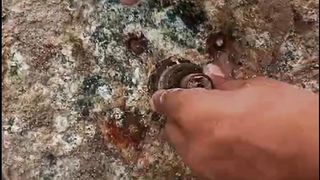 Washing machine maintenance
