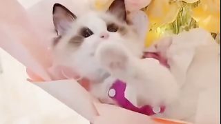 Cute???????? 2