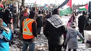 Free Palestine 15
