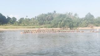 PACU JALUR