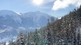 Fantastic_winter_forest.