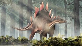Stegosaurus