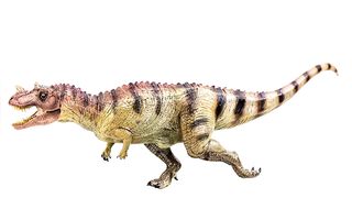 Ceratosaurus