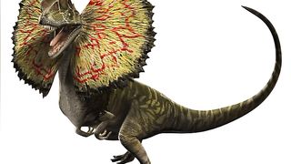 Dilophosaurus