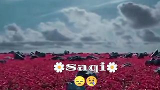 Punjabi song 36
