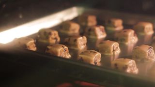 "Culinary Symphony: A Melodic Exploration of Exquisite Tastes"