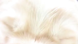 Pat Funny Moments