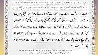 اسلامی معلومات 706