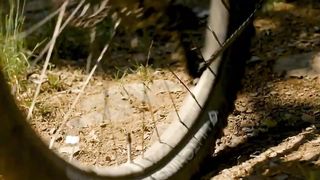 Top 10 des meilleurs VTT électriques