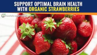 SUPPORT OPTIMAL BRAIN HEALTH WITH ORGANIC STRAWBERRIES