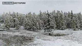 ЗА КАКВО ВОЮВАТ РУСНАЦИТЕ ?