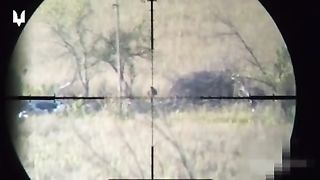 Ukraine Russia War | Ukrainian SOF Snipers Destroy Enemy in Zaporozhye Direction | RCF