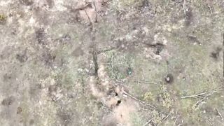 Ukraine Russia War | Russian Paratroopers Capture Ukrainian Stronghold in Artemovsk Direct | RCF
