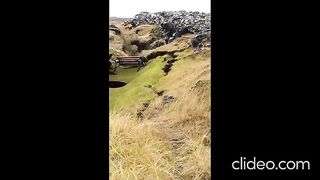 СЪДБАТА НА  ГРИНДАВИК