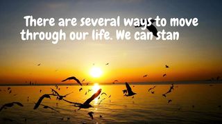 Quotes of the day #43