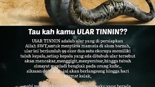 Tinnin snakes in hell are very dangerous
