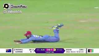 2nd drop catch of Maxwell
