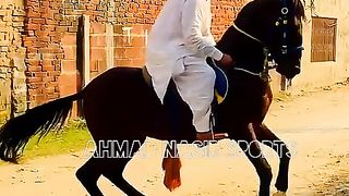 #foryou #foryoupage #fyp #Ahmad#horsepower#trending #25
