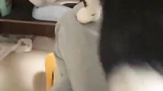 worst cat