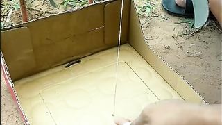 Amazing Quick Quail Trap