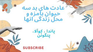 زندگی حیوانات