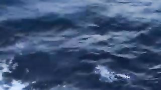 •الفاتحہ•الاعلیٰ¹????
