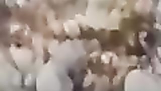 video 273
