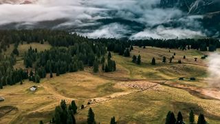 Nature 169