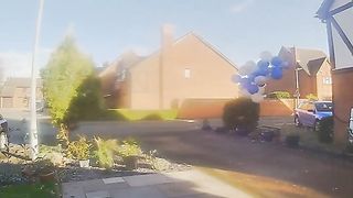 Bushy Mischief | "Doorbell Rascal" - Pranks Behind the Bush | FunFM