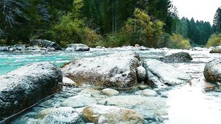 Bruit eau de la rivière qui coule [RELAXATION NATURE ] asmr. shorts.