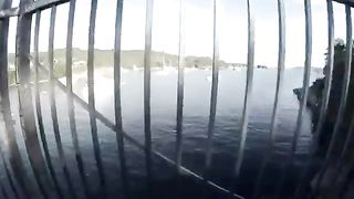 GoPro Un homme plonge dune falaise et tombe sur un requin à Sydney (Australie