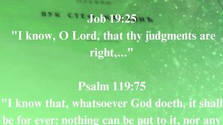 The Gospel according to John 19