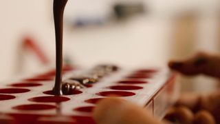 "Sweet Symphony: The Ultimate Chocolate Experience"