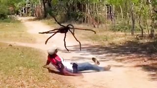 VIDEOS ENGRAÇADOS PARA MORRE DE RI