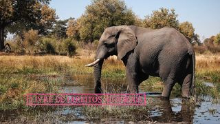 ✅Música ambiente relaxante instrumental acalmar a mente e tranquilizar o espírito