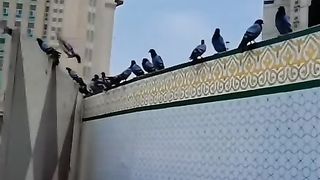 محمود وسحر فى السعودية