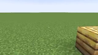 Minecraft Master Bee