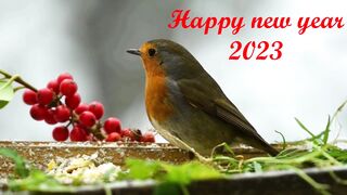 HAPPY NEW YEAR 2023
