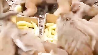 Угощенье