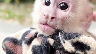 Какая миленькая